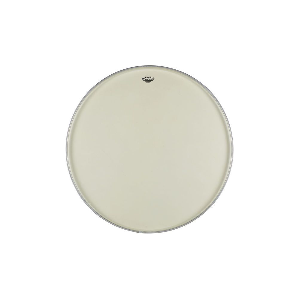 Remo 32 Renaissance Ambassador Bass – Thomann Ireland