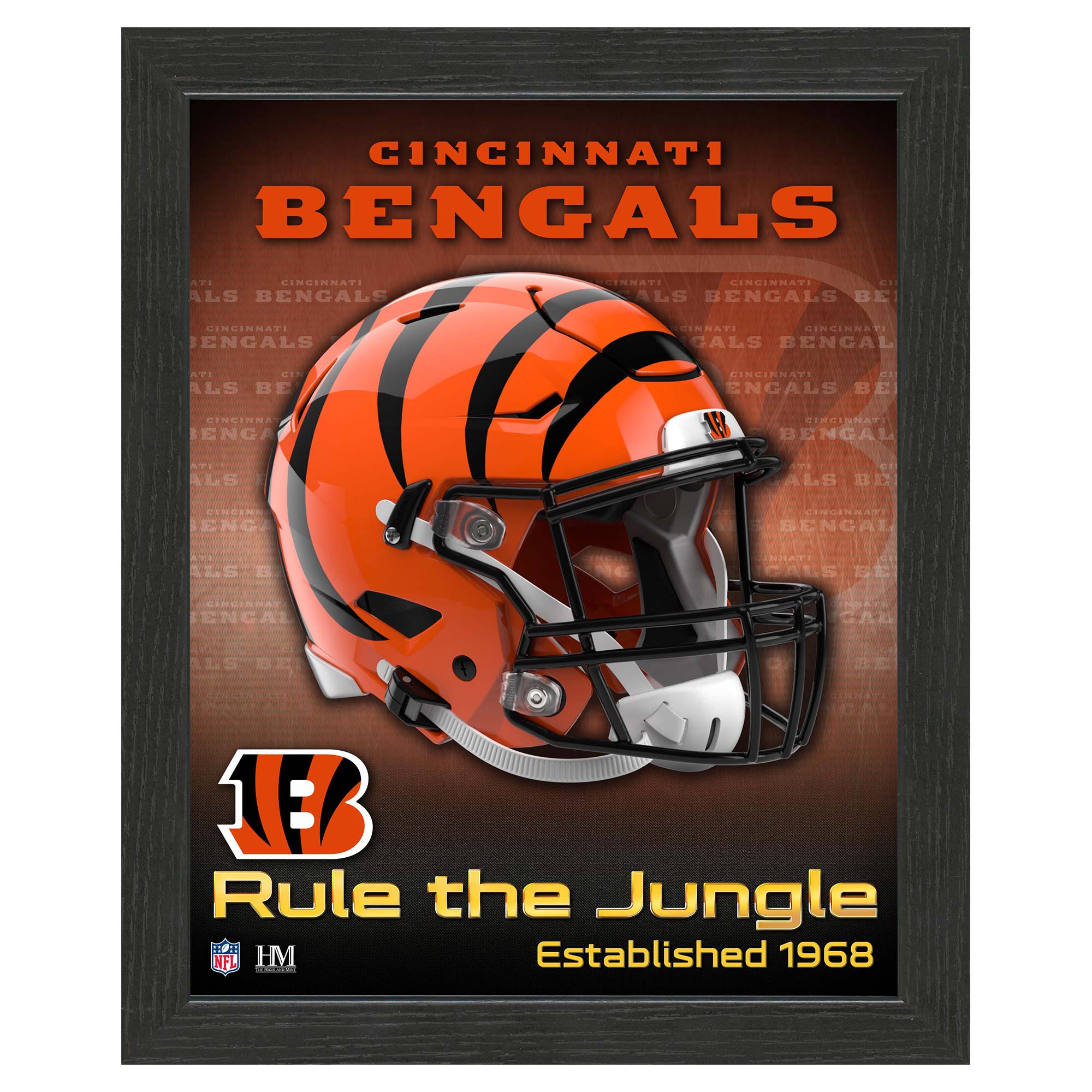 Cincinnati Bengals NFL Team Helmet Framed Photo