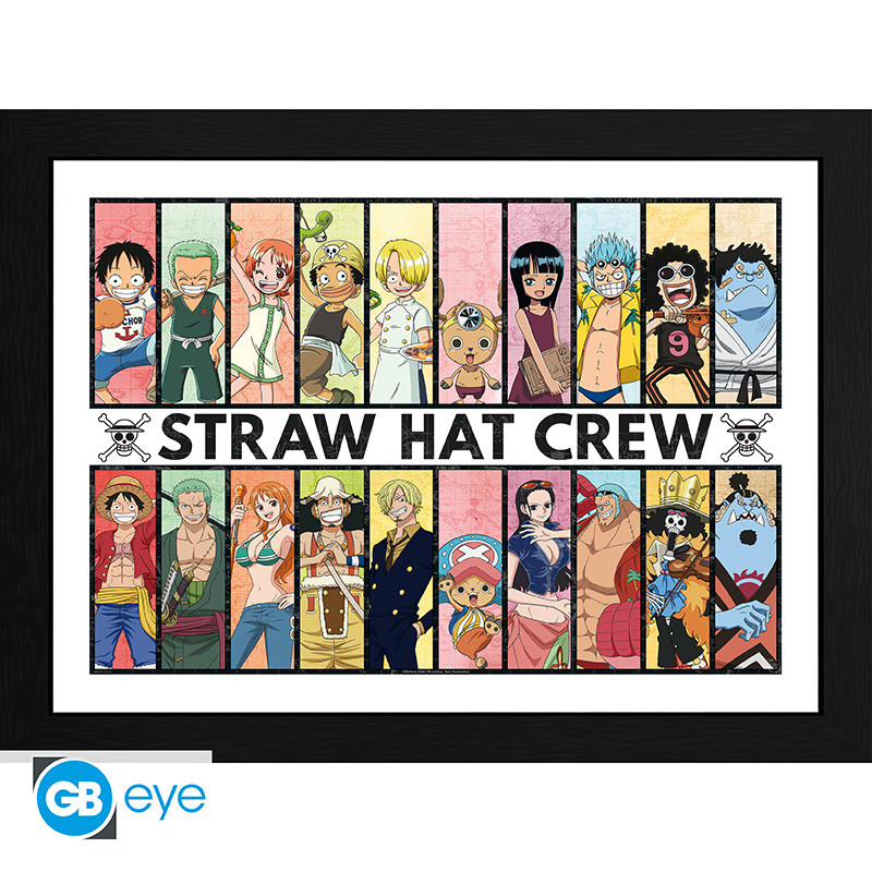ONE PIECE Framed print Past & Present