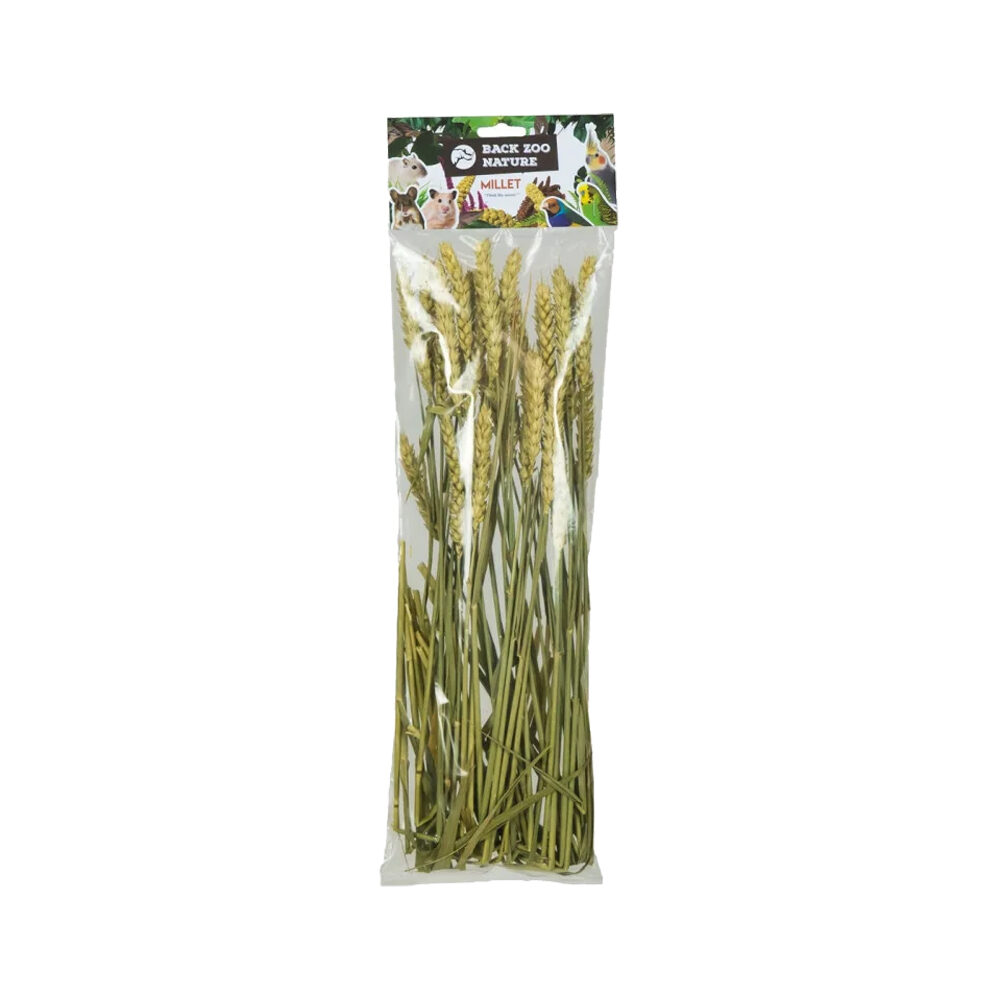 Back Zoo Nature Wheat - 50 grams