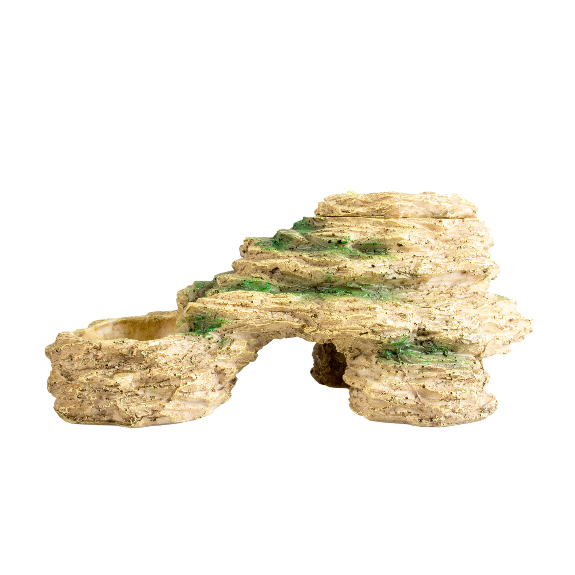 Terra Della Stone Pool