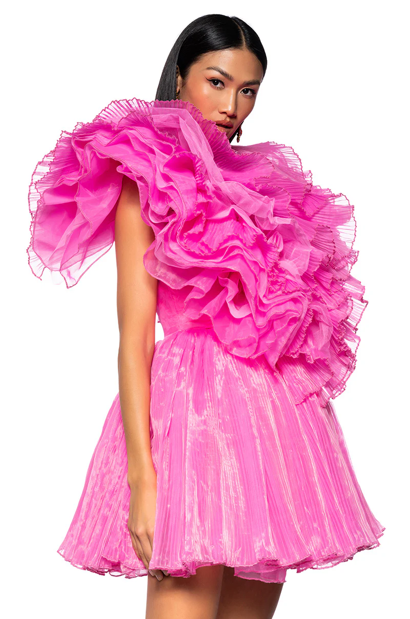 Ever After Ruffle Sleeve Pleated A Line Mini Dress