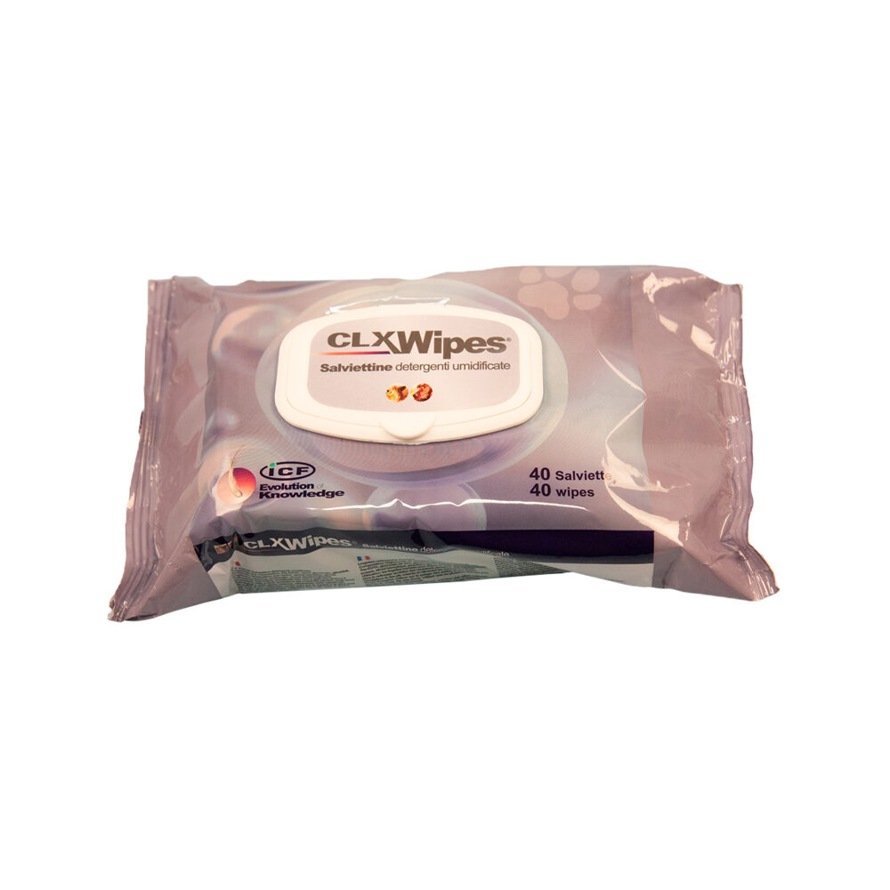 CLX Wipes - Pack of 20 Wipes