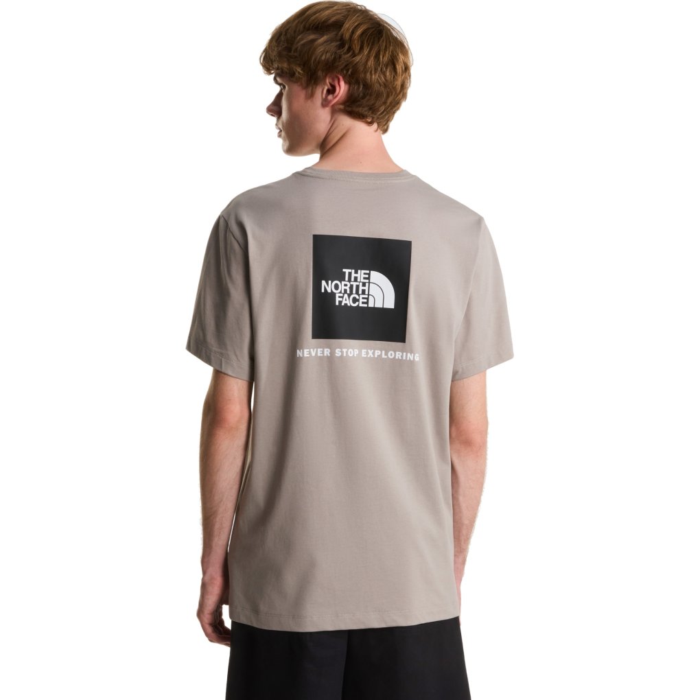 The North Face Evolution NSE Box Regular T-Shirt Men - Stone Slab