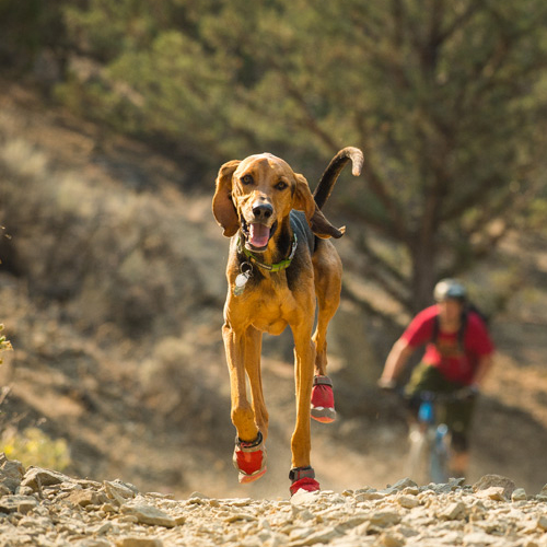 Ruffwear Grip Trex Boots - XXXXS - Obsidian Black - Set of 2