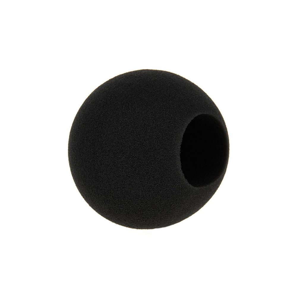 Sennheiser MZW421 – Thomann Ireland