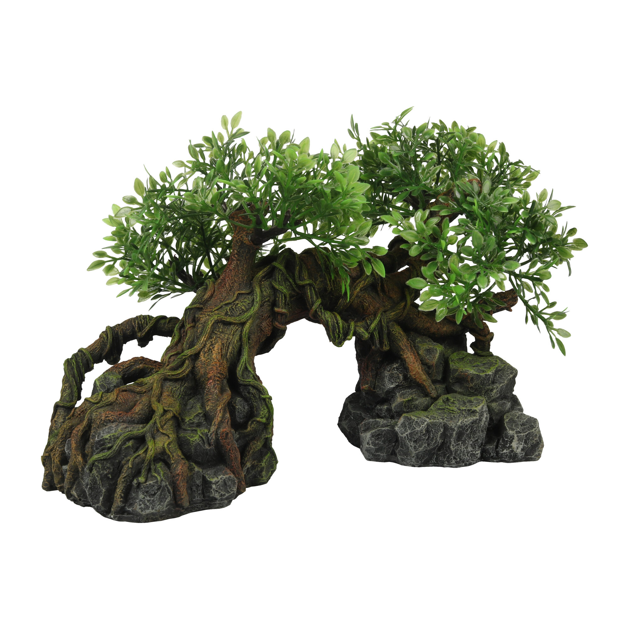 Terra Della Jungle Tree