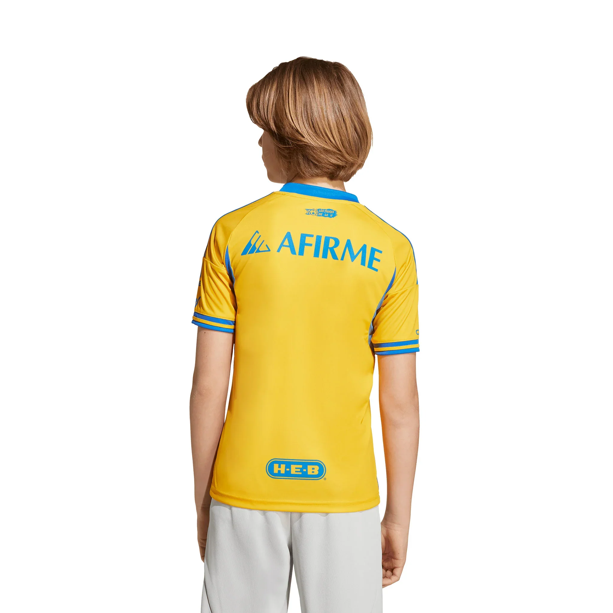 Tigres UANL 25/26 Home Jersey (Fan Version)