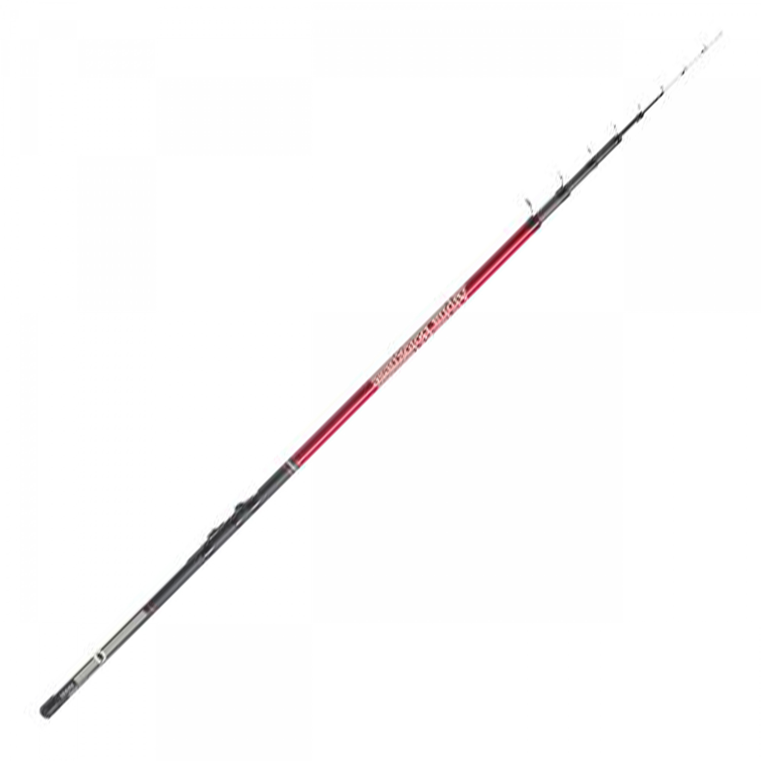 Kogha Delta Bolognese