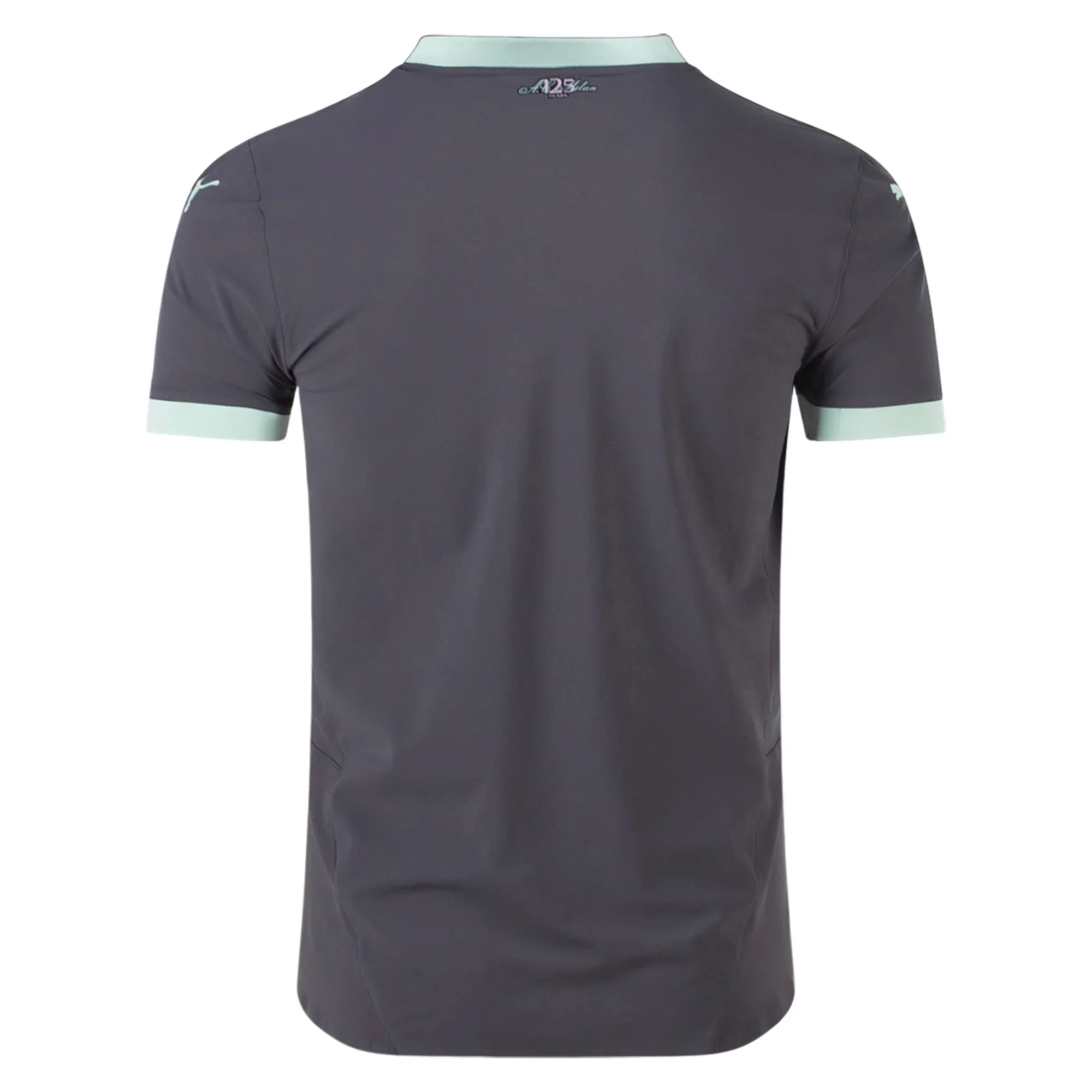 AC Milan Authentic Third Jersey 24/25 (Shadow Gray/Fresh Mint)
