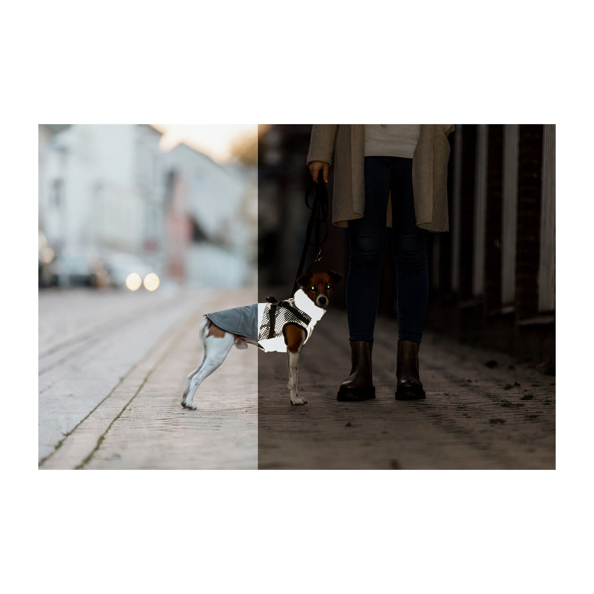 Trixie Winter Coat with Harness Pontis Reflect - Gray - XXS - 24 cm