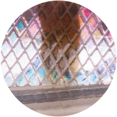 Zeck Zander runner (Clear Water)