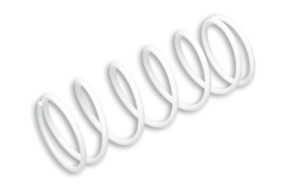 Malossi reinforced primary springRef: MAL00362A / 1007969