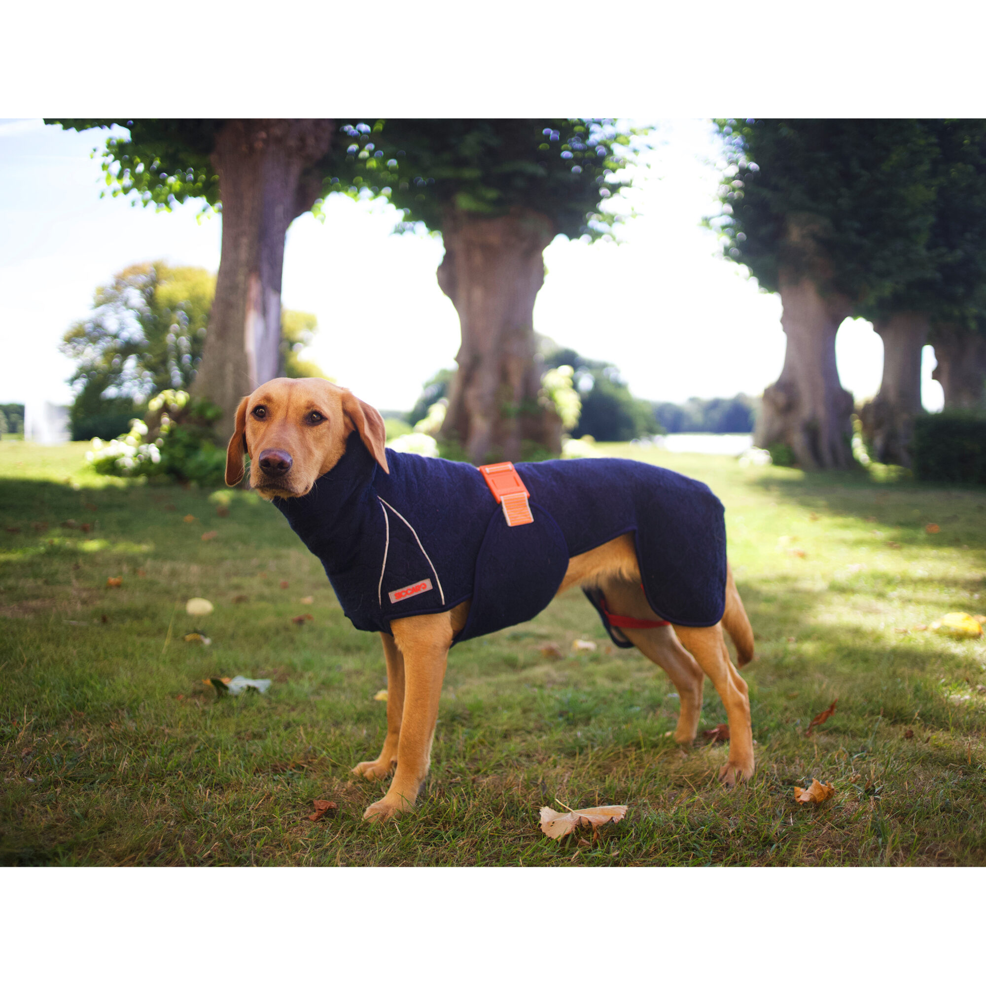 Siccaro WetDog SupremePro 2.0 - Blue Granite - 50