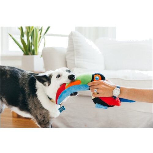 PLAY Fetching Flock - Toucan