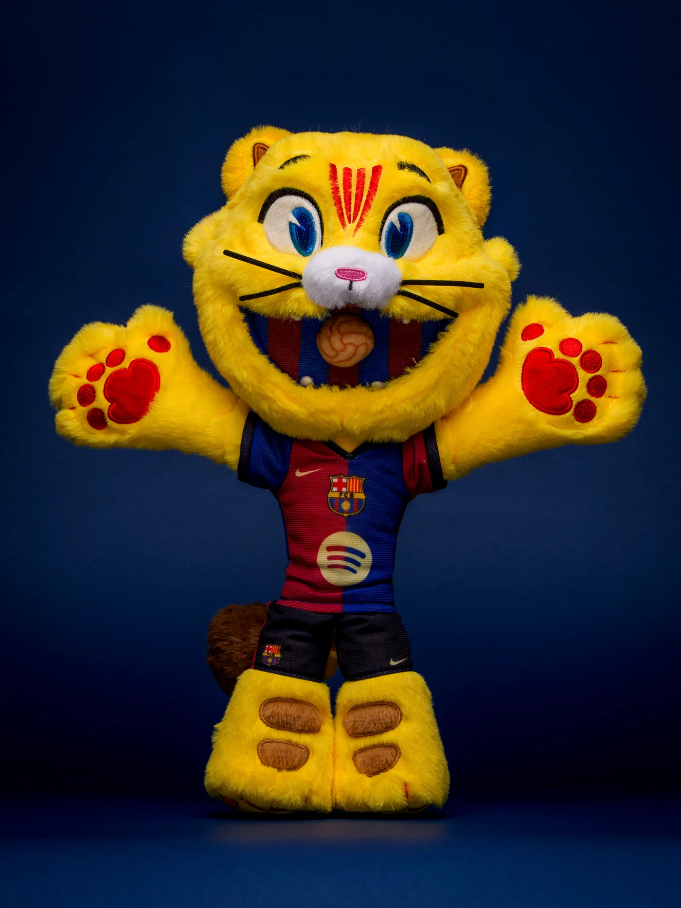 Teddy Cat Official Fc Barcelona