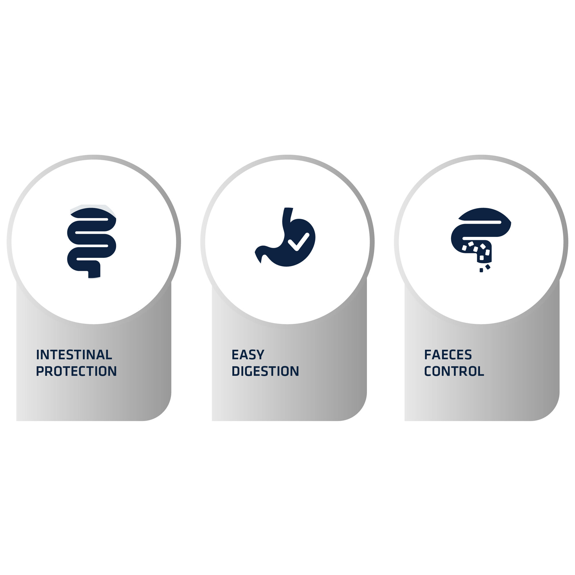 Affinity Advance Veterinary Diets Gastroenteric Dog - 12 kg