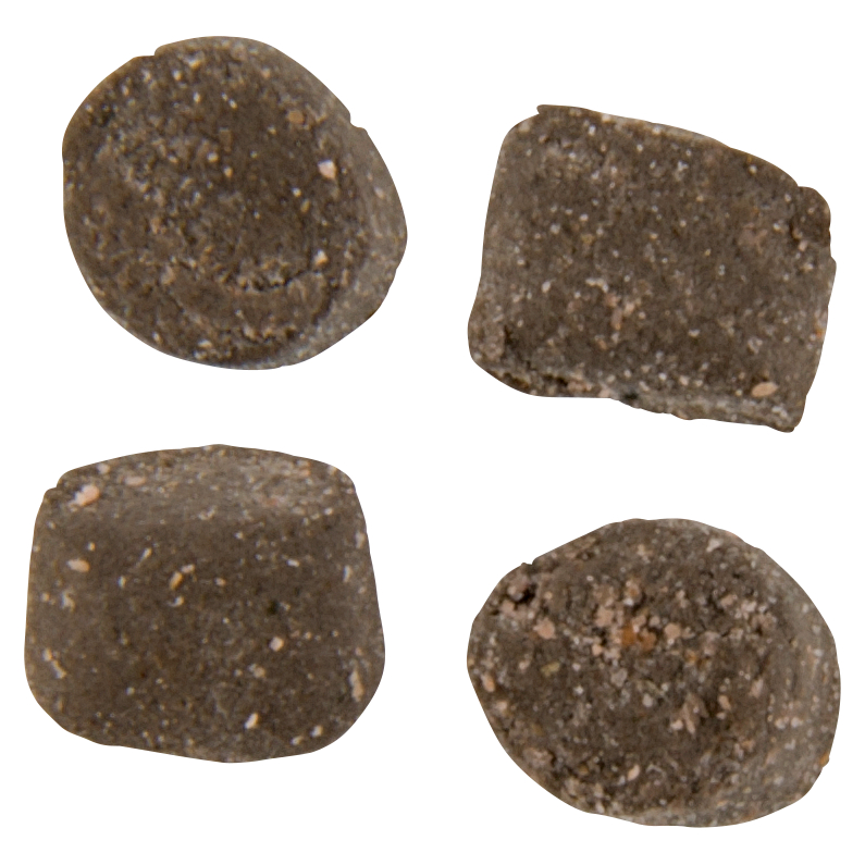 Berkley Powerbait Trout Nuggets