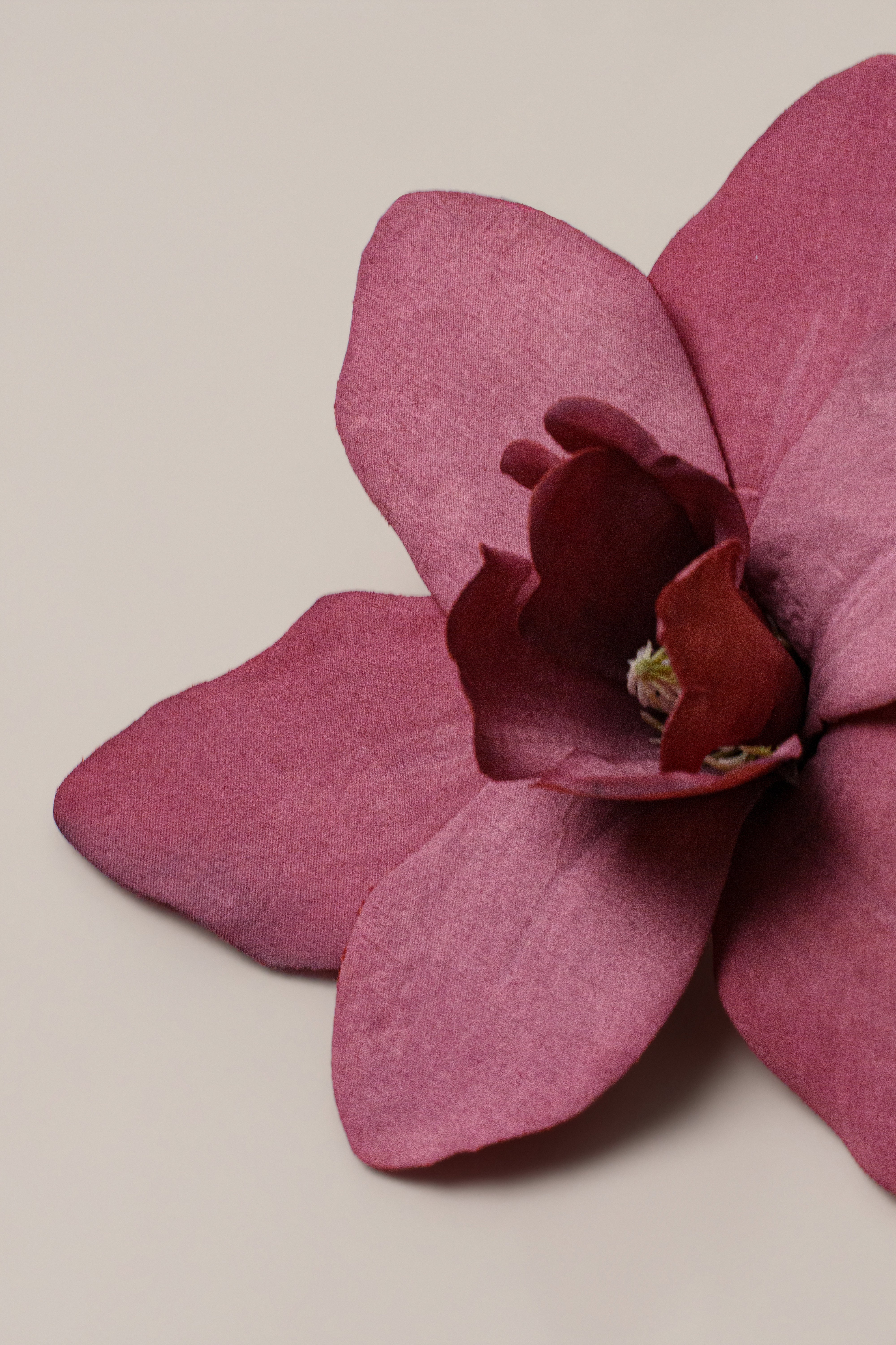Fuchsia Coastal Orchid Hair Clip