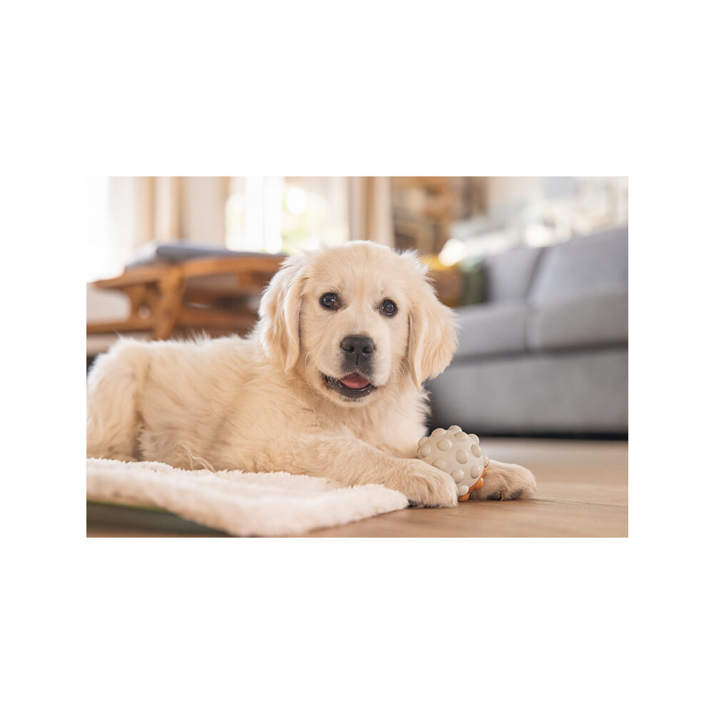 Beeztees Puppy Play Ball Denise - 7,5 cm