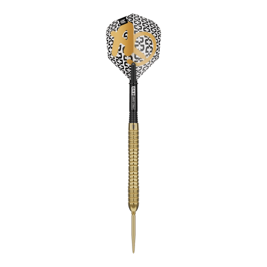 Target Bolide Envy 04 Swiss Point steel darts