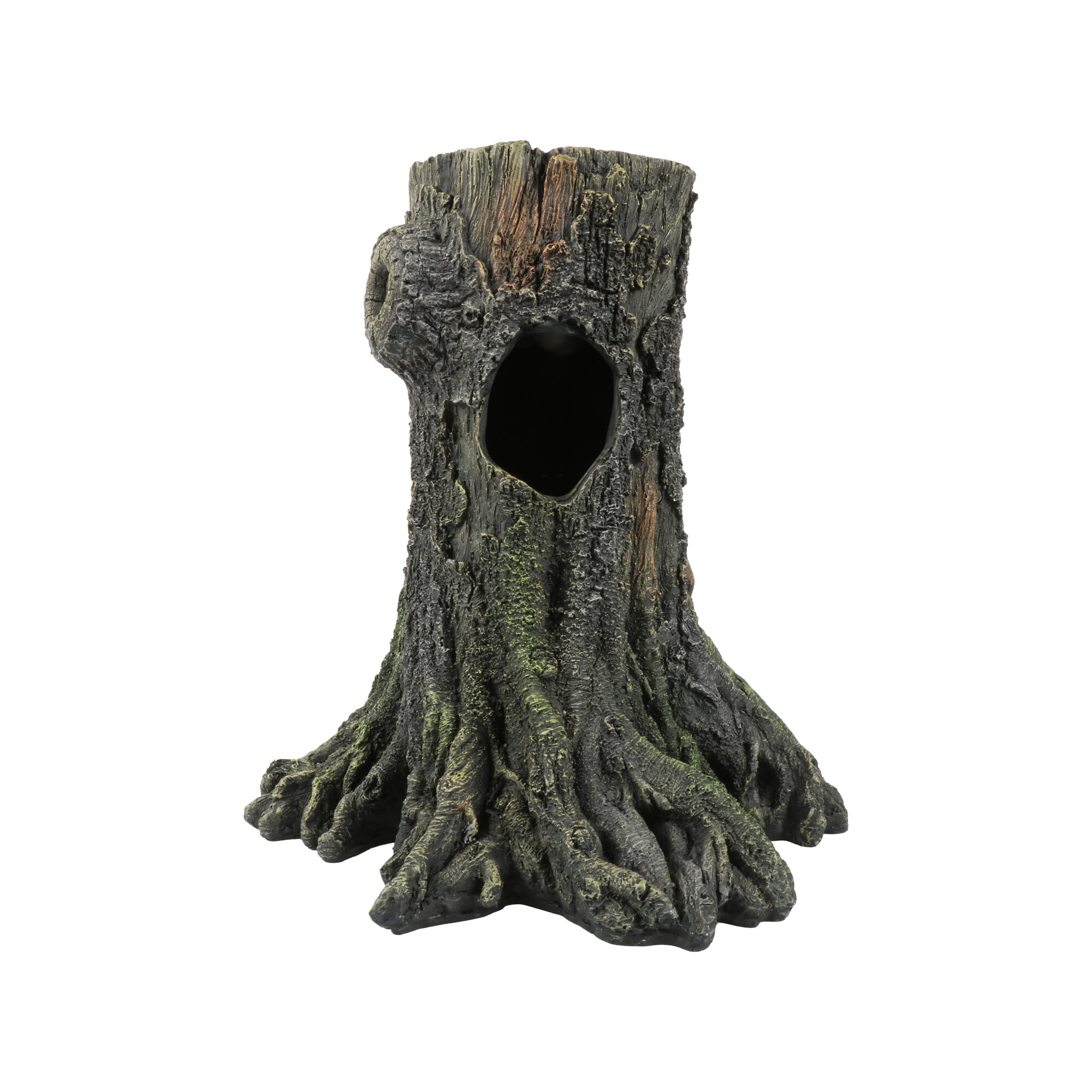 Terra Della Gecko Tree