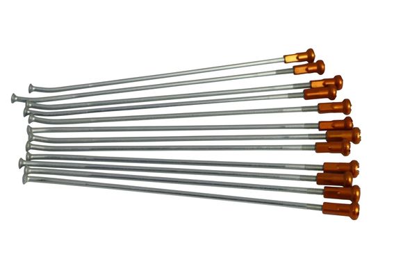 Rayon KITE 02110224 UniverselRef : KITE00166A / 02110224