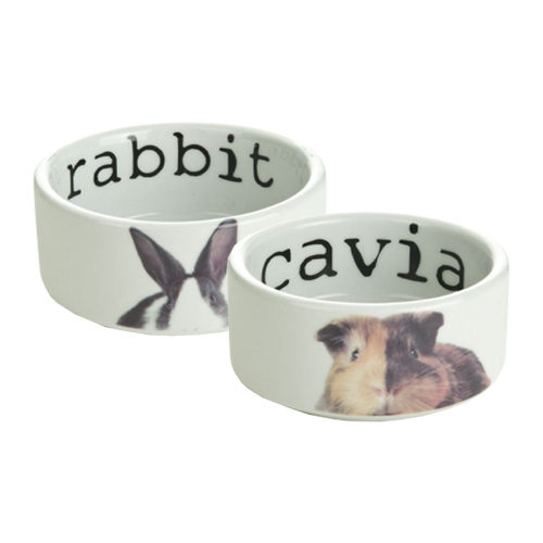 Beeztees Snapshot Food Bowl Rabbit