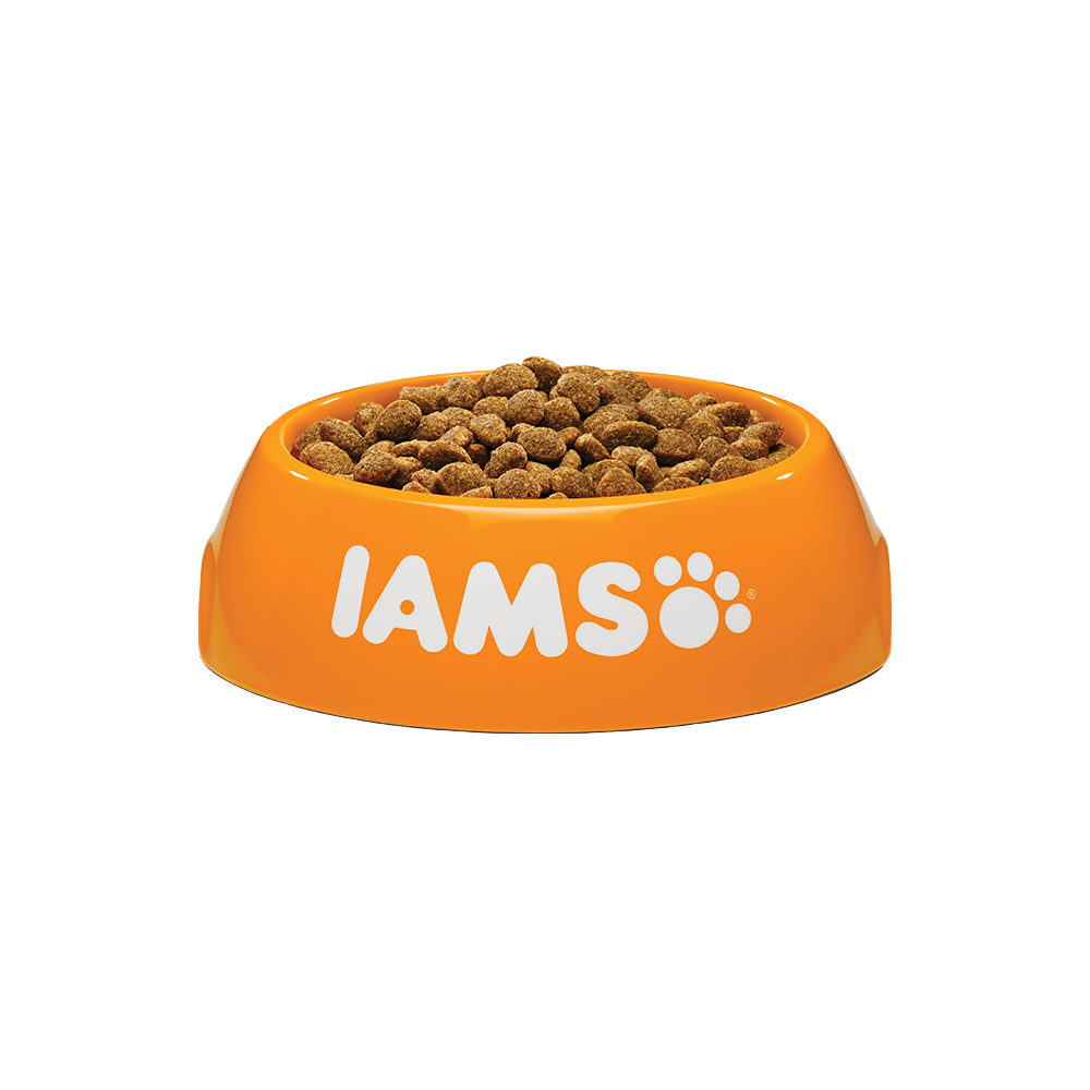 IAMS Dog Light in Fat - 12kg