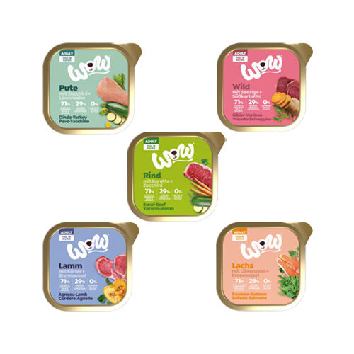 WOW! Adult Dog Food - Tub - Salmon - 11 x 150 g