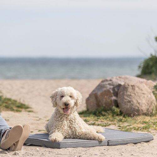 Trixie Samoa Vital Dog Mattress - Dark gray - 100 × 70 cm