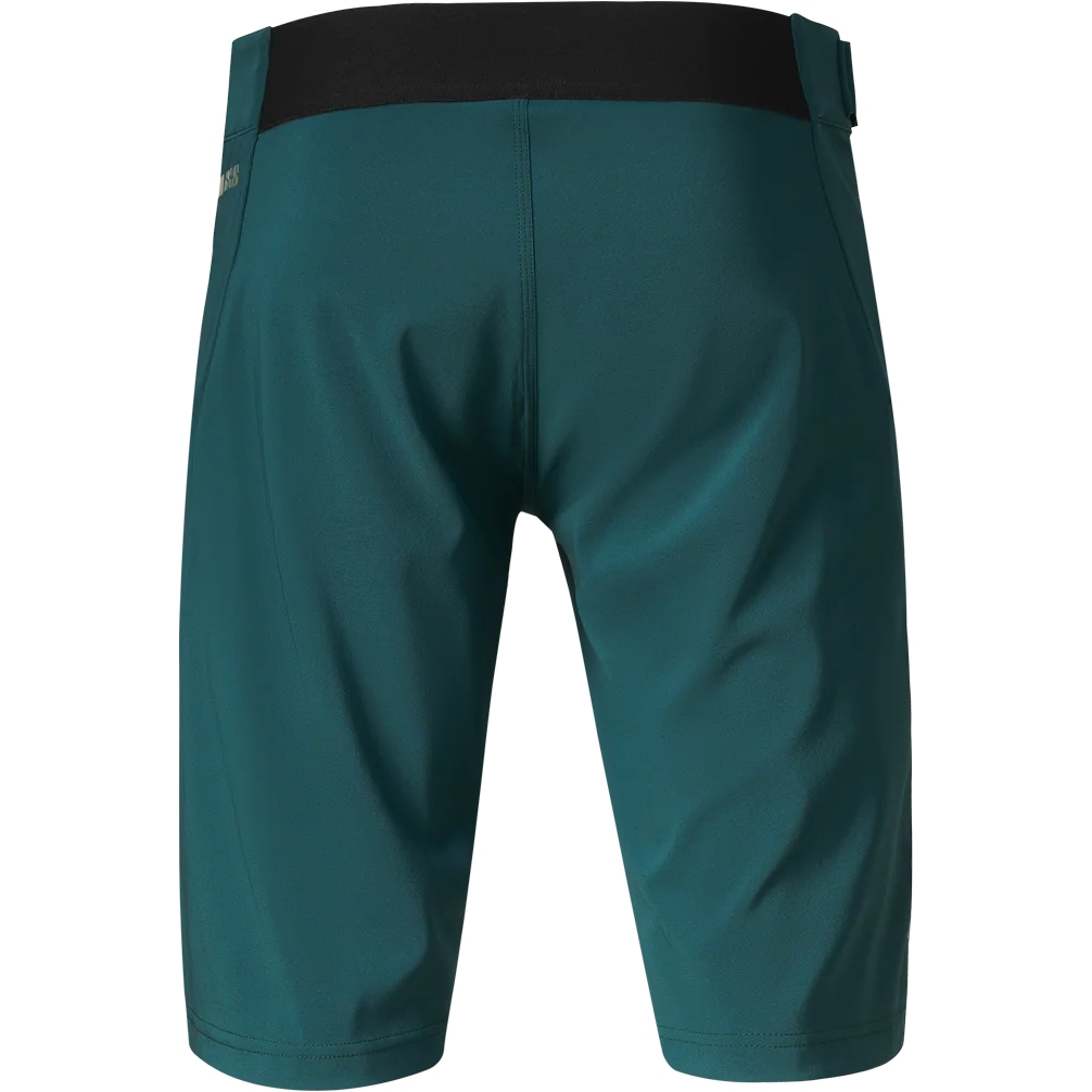 iXS Flow 1.0 MTB Shorts Men - black