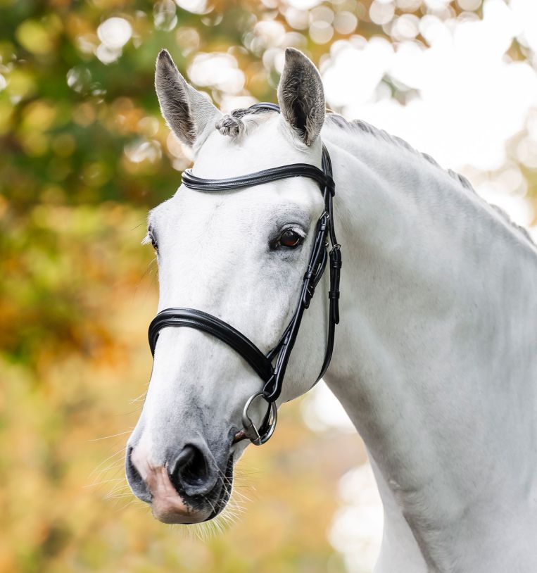 Horseware® Cavesson Bridle