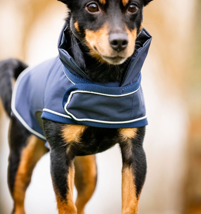 Horseware® Signature Dog Rain Coat (No Fill)