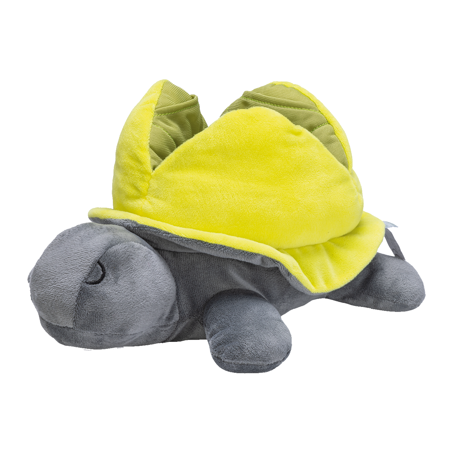 Beeztees Hide And Seek Turtle