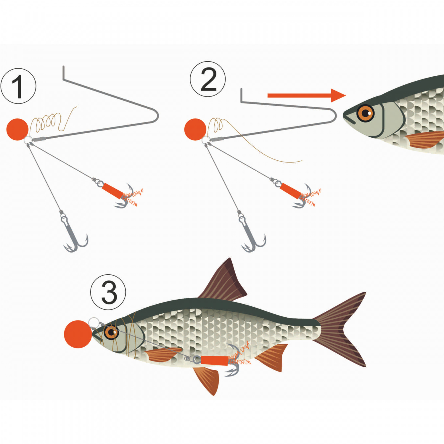 Kogha Deadbait Rig (Size 1)