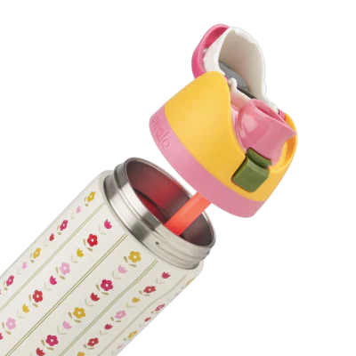 Owala 24oz FreeSip  Flower Crown