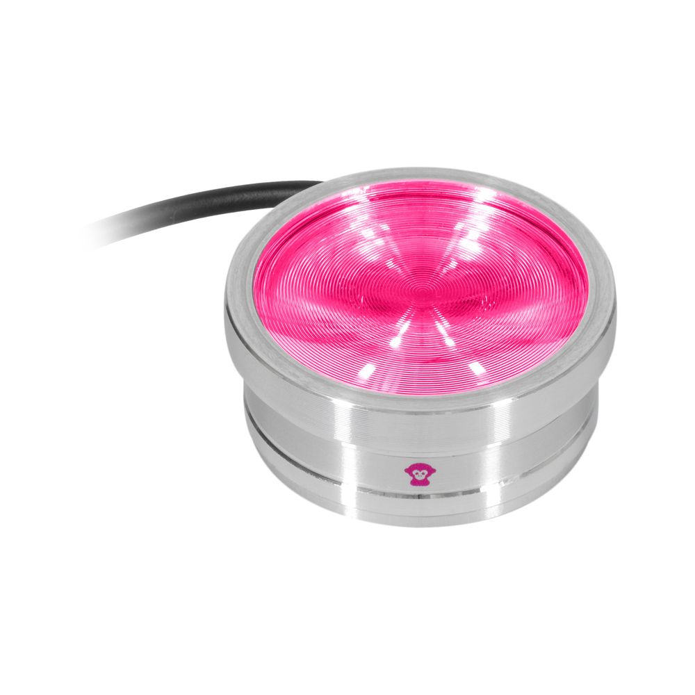 Ape Labs ApeCoin V2 IP – Thomann Ireland