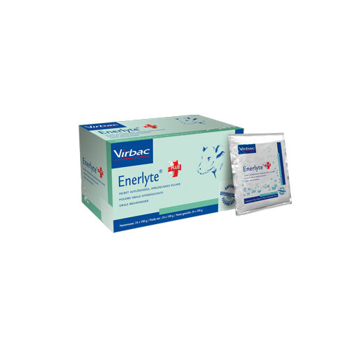 Virbac Enerlyte Plus - 6 Sachets