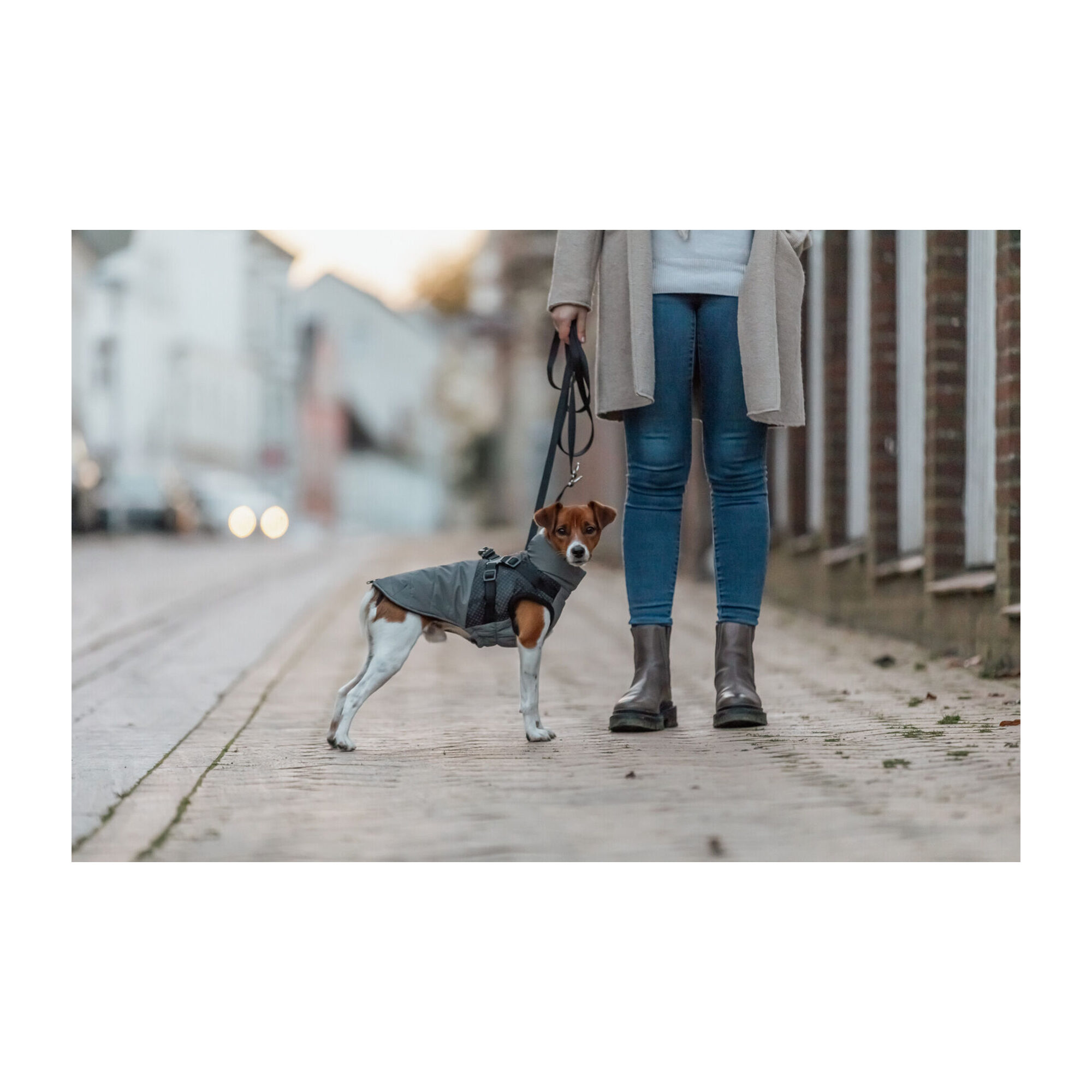 Trixie Winter Coat with Harness Pontis Reflect - Gray - XXS - 24 cm