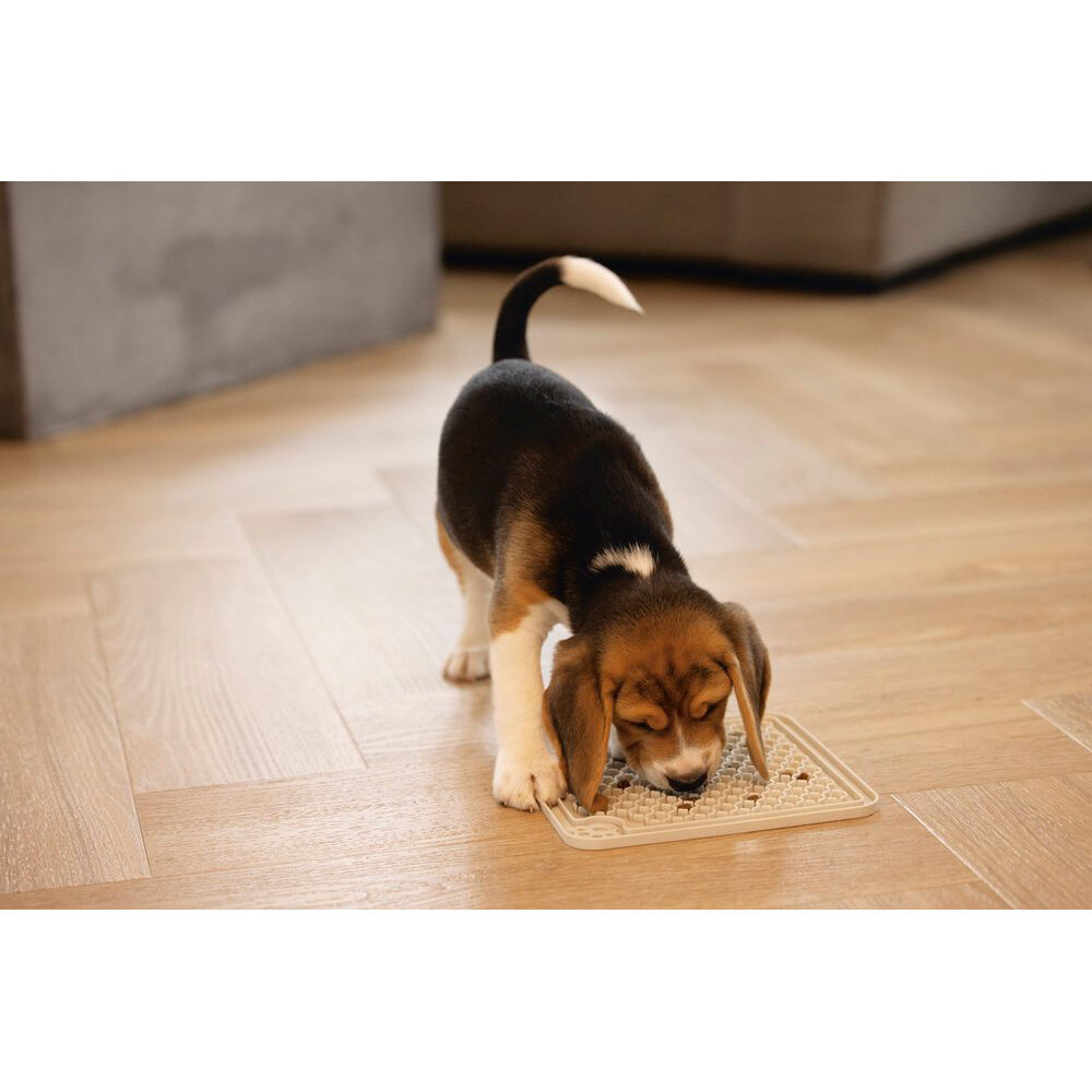 Beeztees Puppy Licking Mat Diza - 20 x 20 cm - Grey