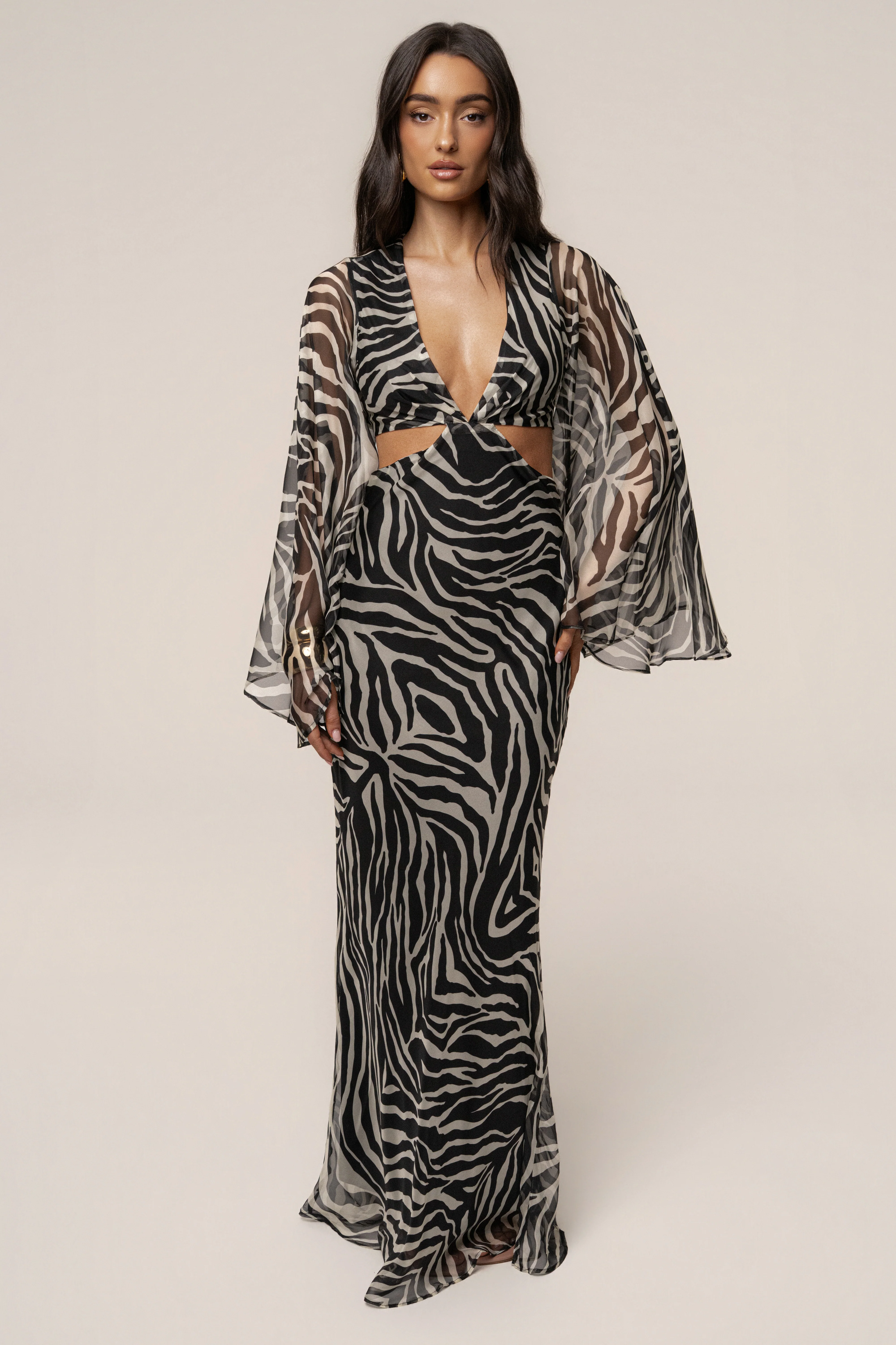 Black Zebra Instincts Print Maxi Dress