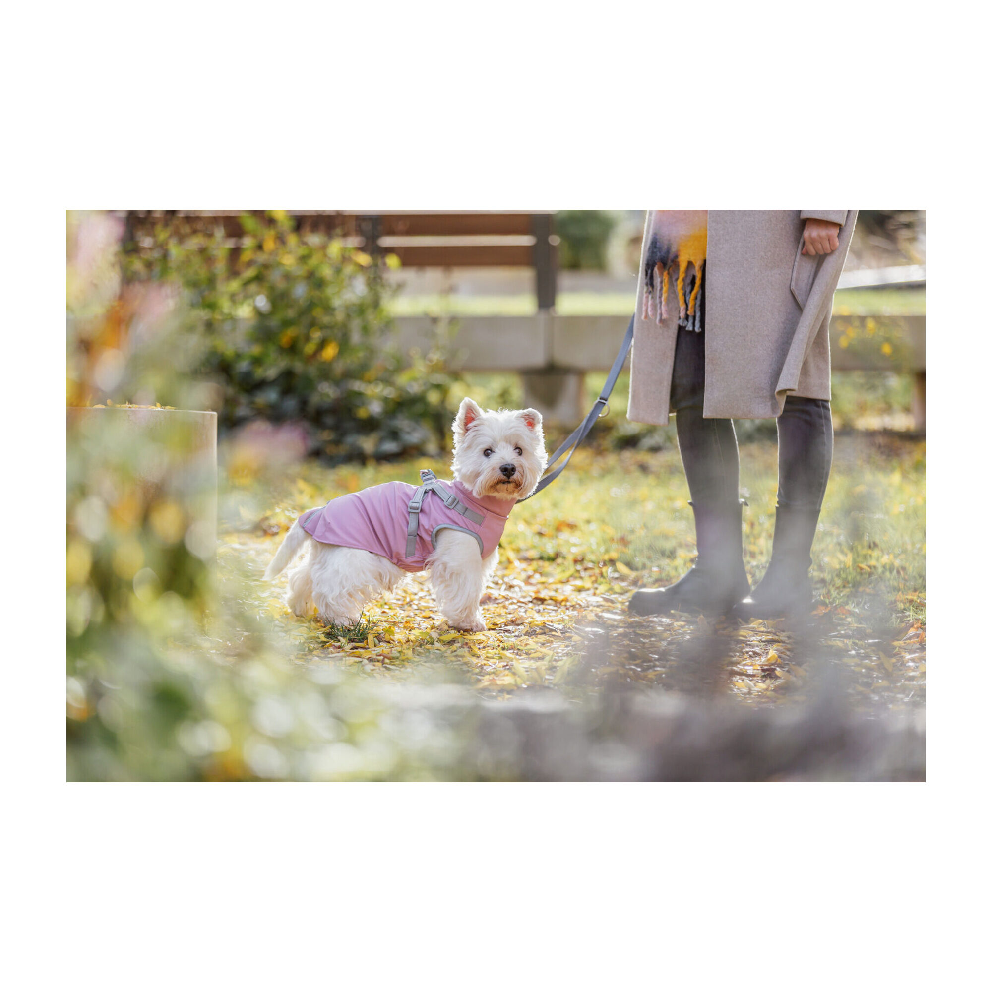 Trixie Pontis Rain Coat with Harness - Pink - XXS - 24 cm