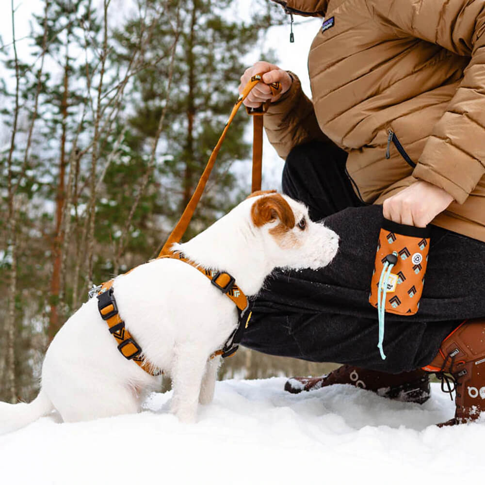 Woolly Wolf Sea To Summit Dog Leash