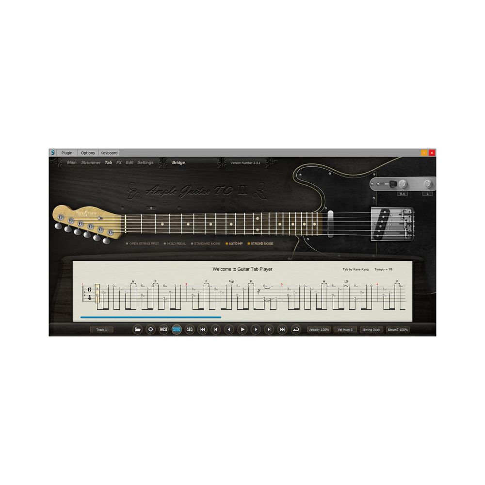 Ample Sound Ample Guitar TC III – Thomann Ireland