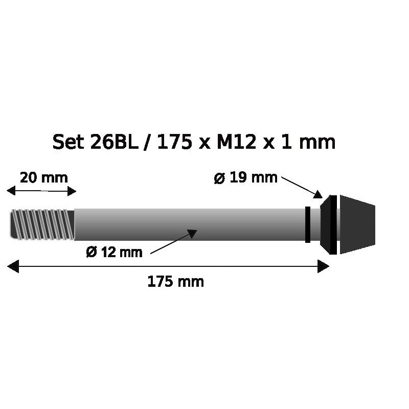 Pitlock Set 26 Boost L Thru Axle 12x175mm x 1.0mm - black