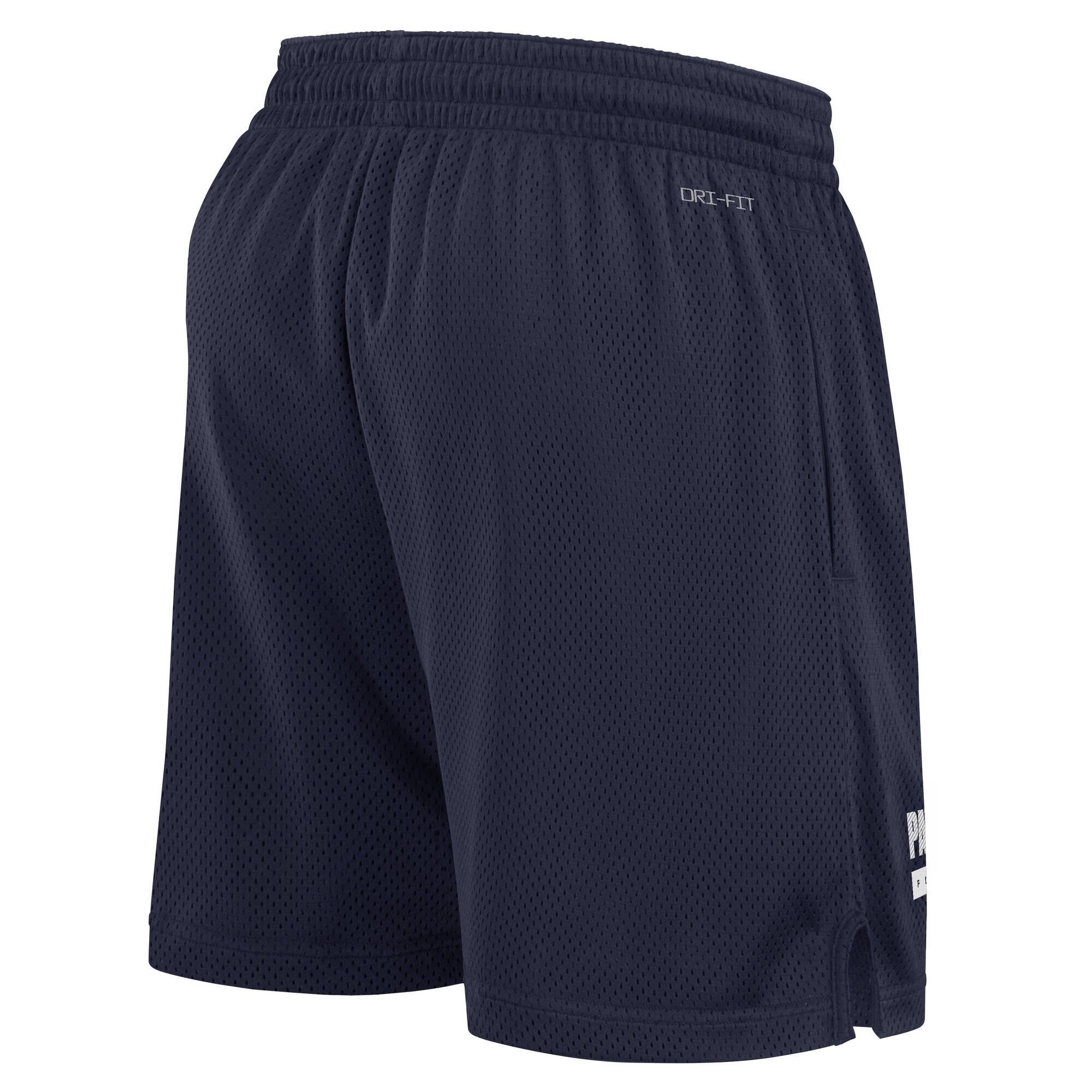 New England Patriots 2024 NFL Sideline Mesh Nike Dri-FIT Shorts Navy