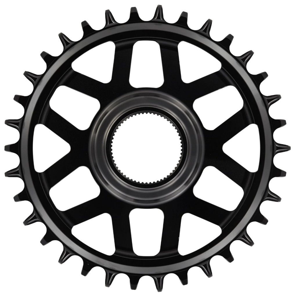 e*thirteen Helix Race e*spec - Direct Mount Chainring - Fazua Ride 60 - black