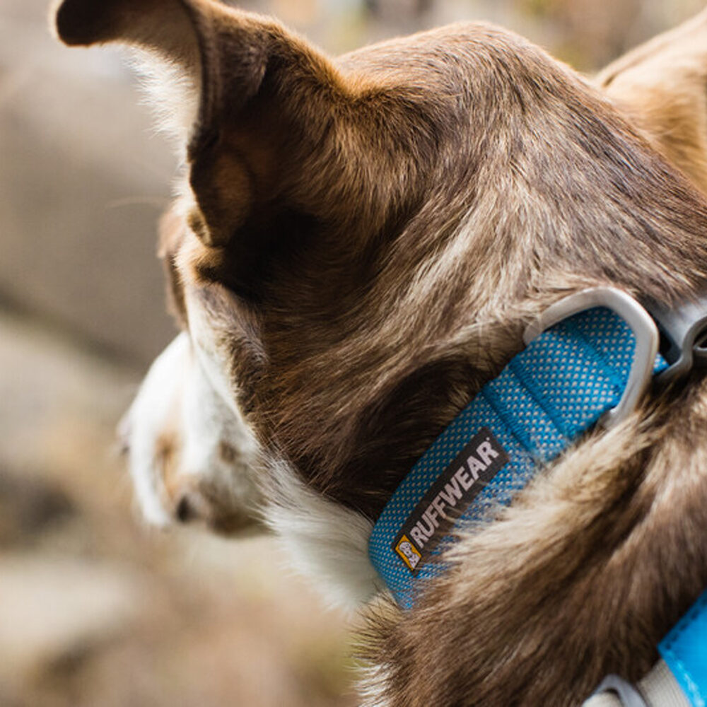Ruffwear Hi & Light Collar - Lichen Green - 23-28 cm