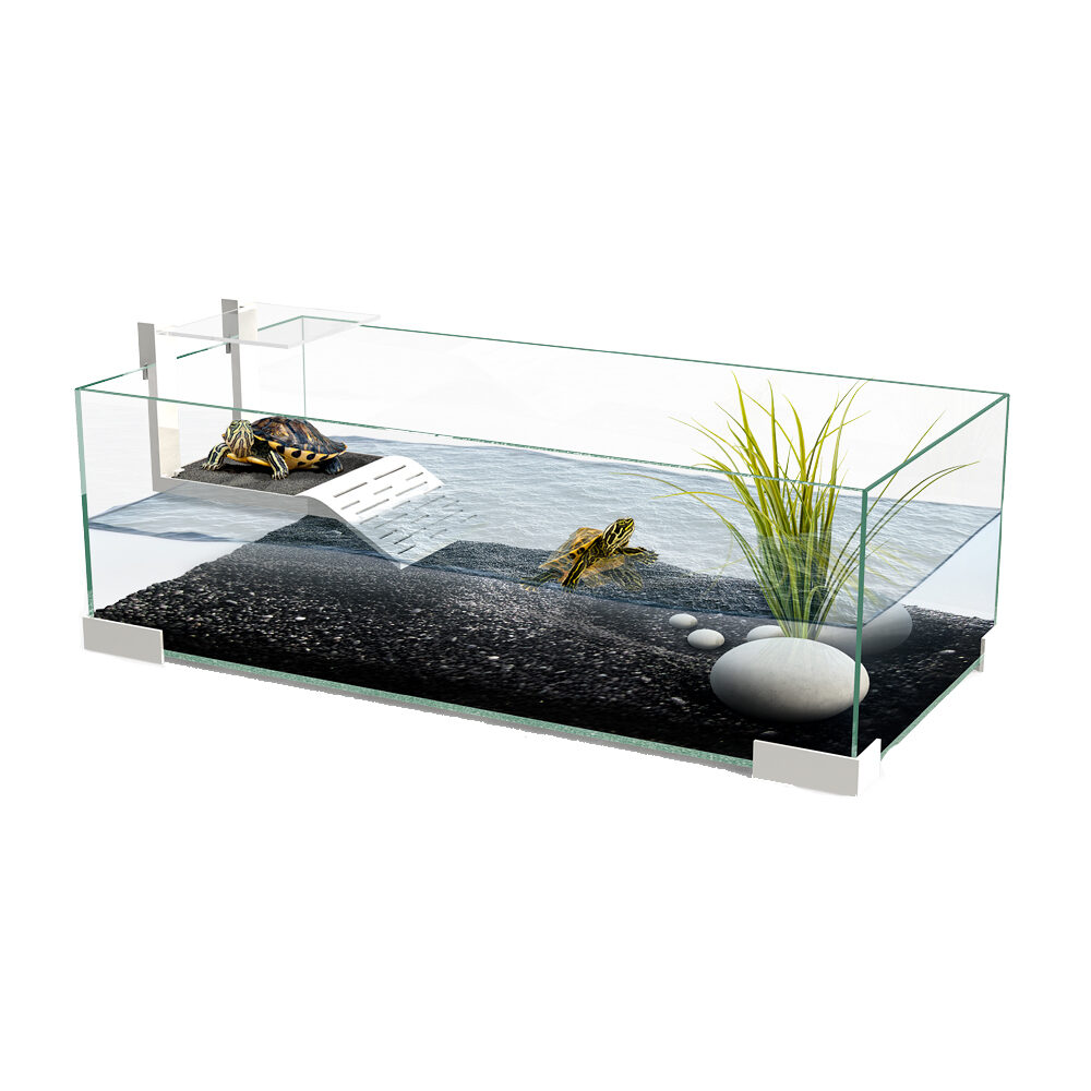 Ciano Tartarium